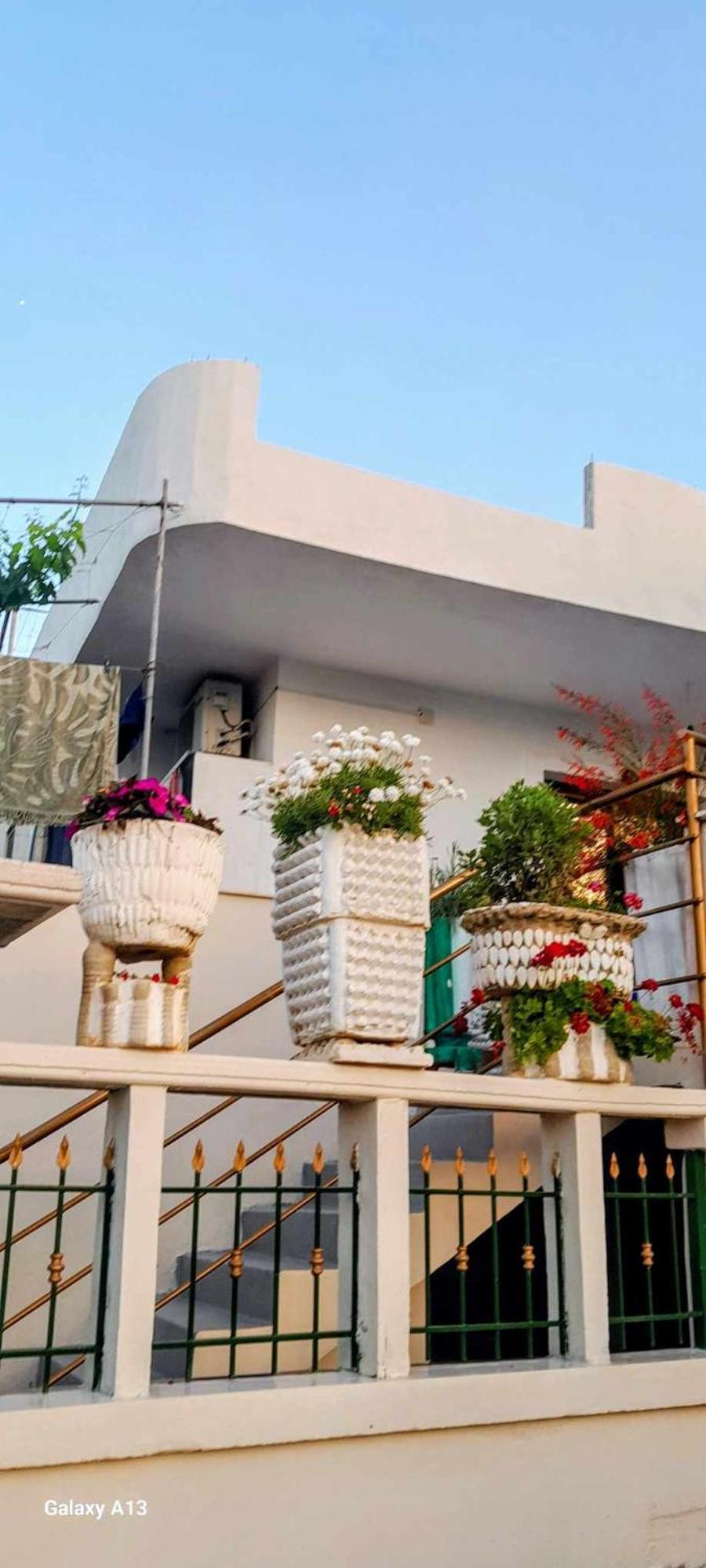 Rezart Apartament